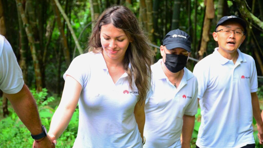 Planes empresariales en Macadamia Bosque Aventura